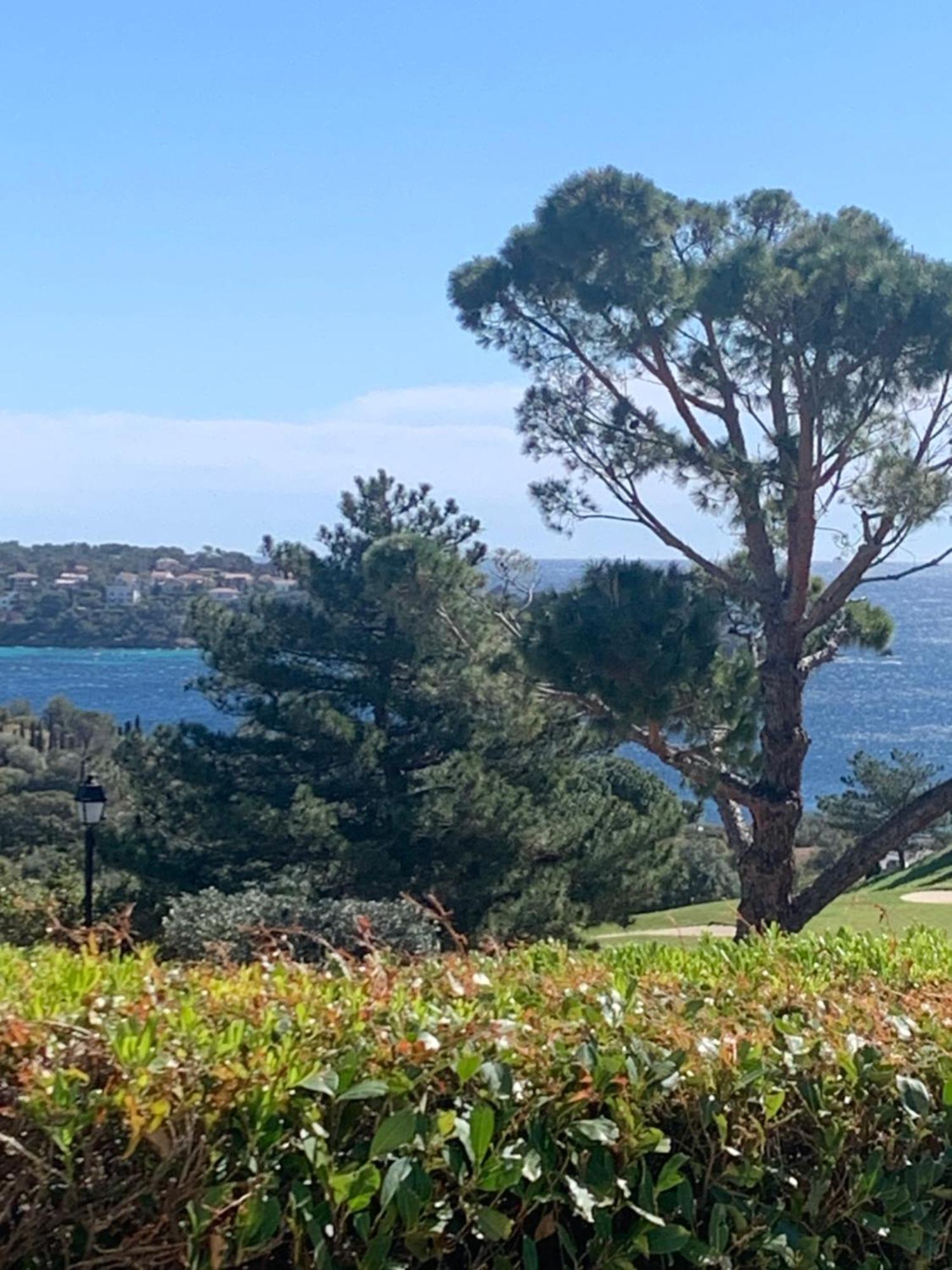 T2 En Rez De Jardin Privatif Cloture , Cap Esterel Pierre Et Vacances ,Piscine Chauffee Des Le 05 Avril Au 02 Novembre Saint-Raphaël エクステリア 写真