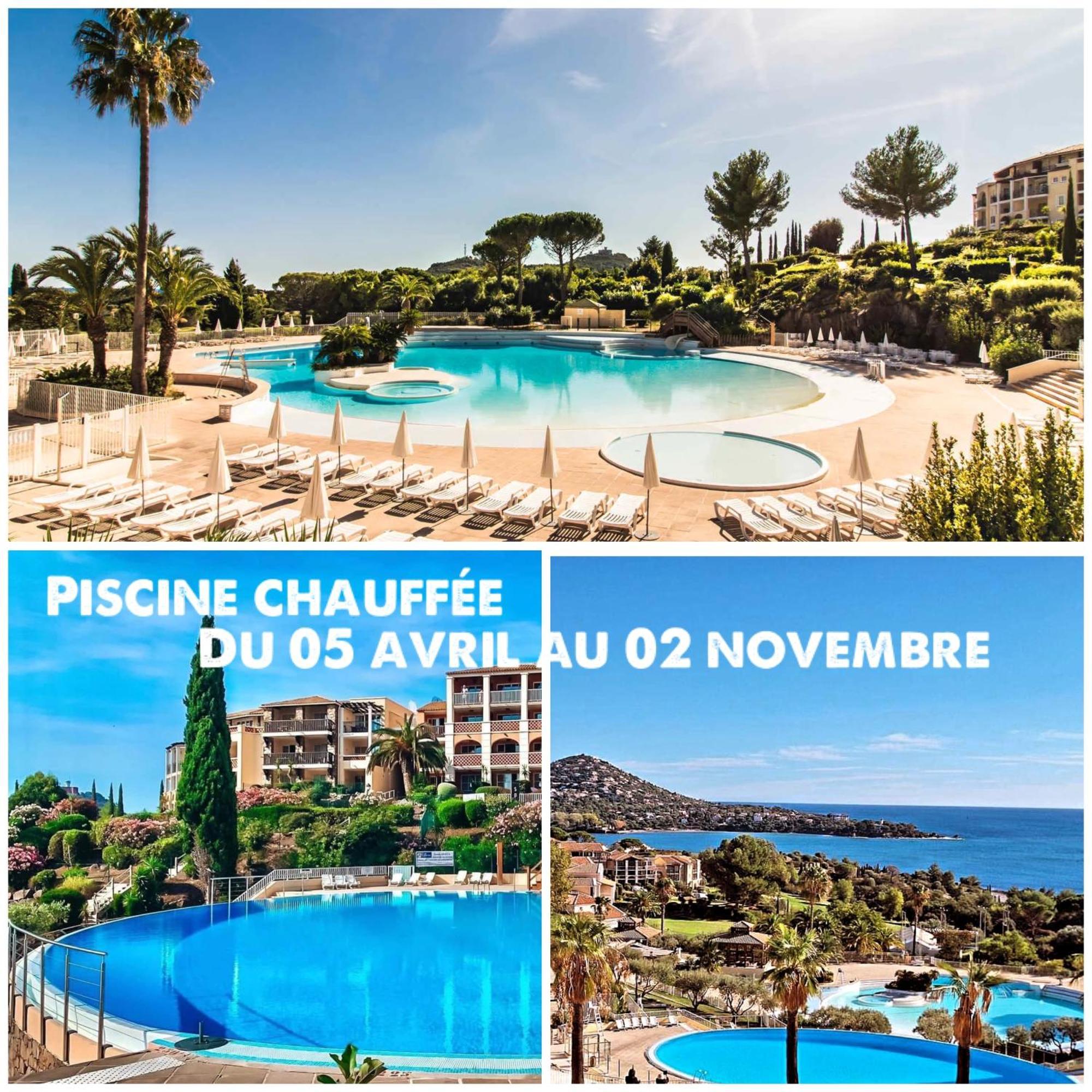 T2 En Rez De Jardin Privatif Cloture , Cap Esterel Pierre Et Vacances ,Piscine Chauffee Des Le 05 Avril Au 02 Novembre Saint-Raphaël エクステリア 写真
